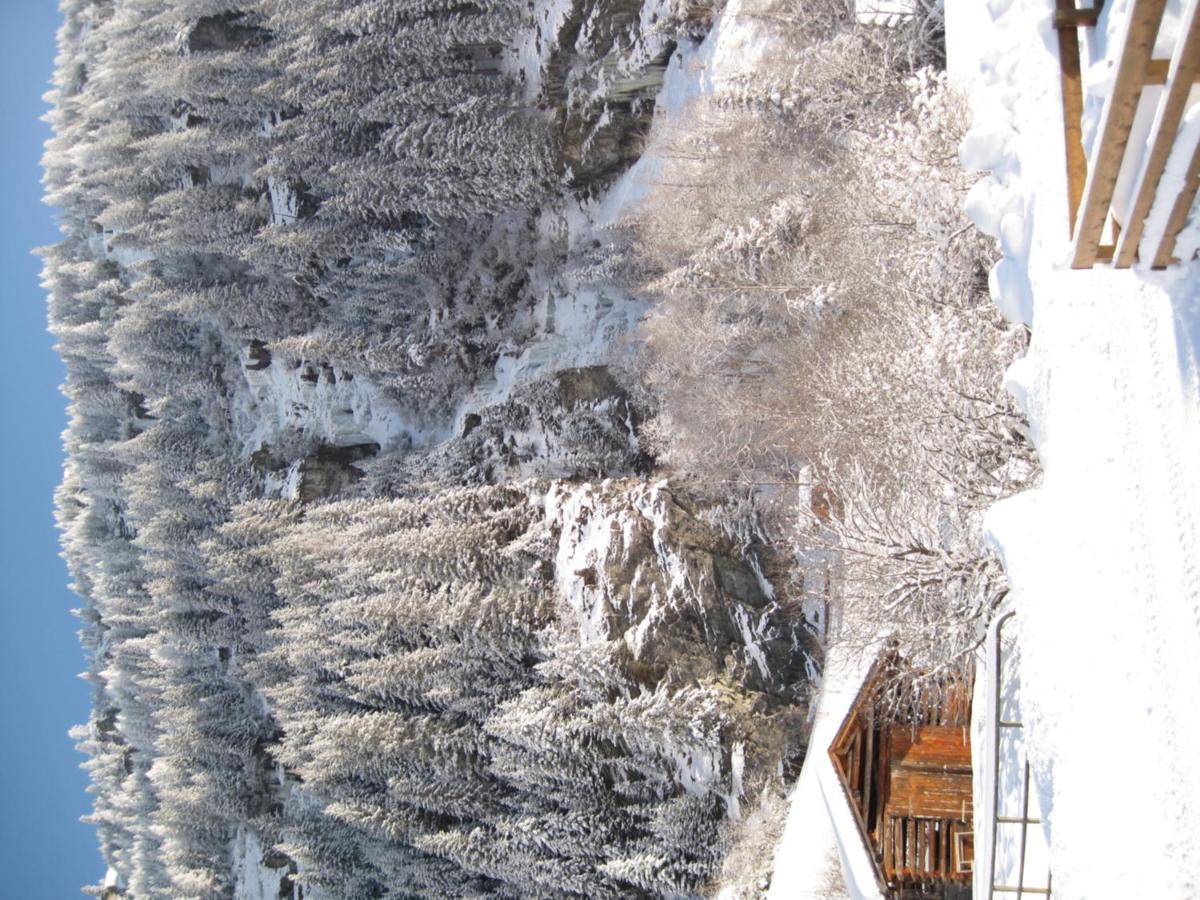 Alpina Appartement St. Leonhard im Pitztal Zewnętrze zdjęcie