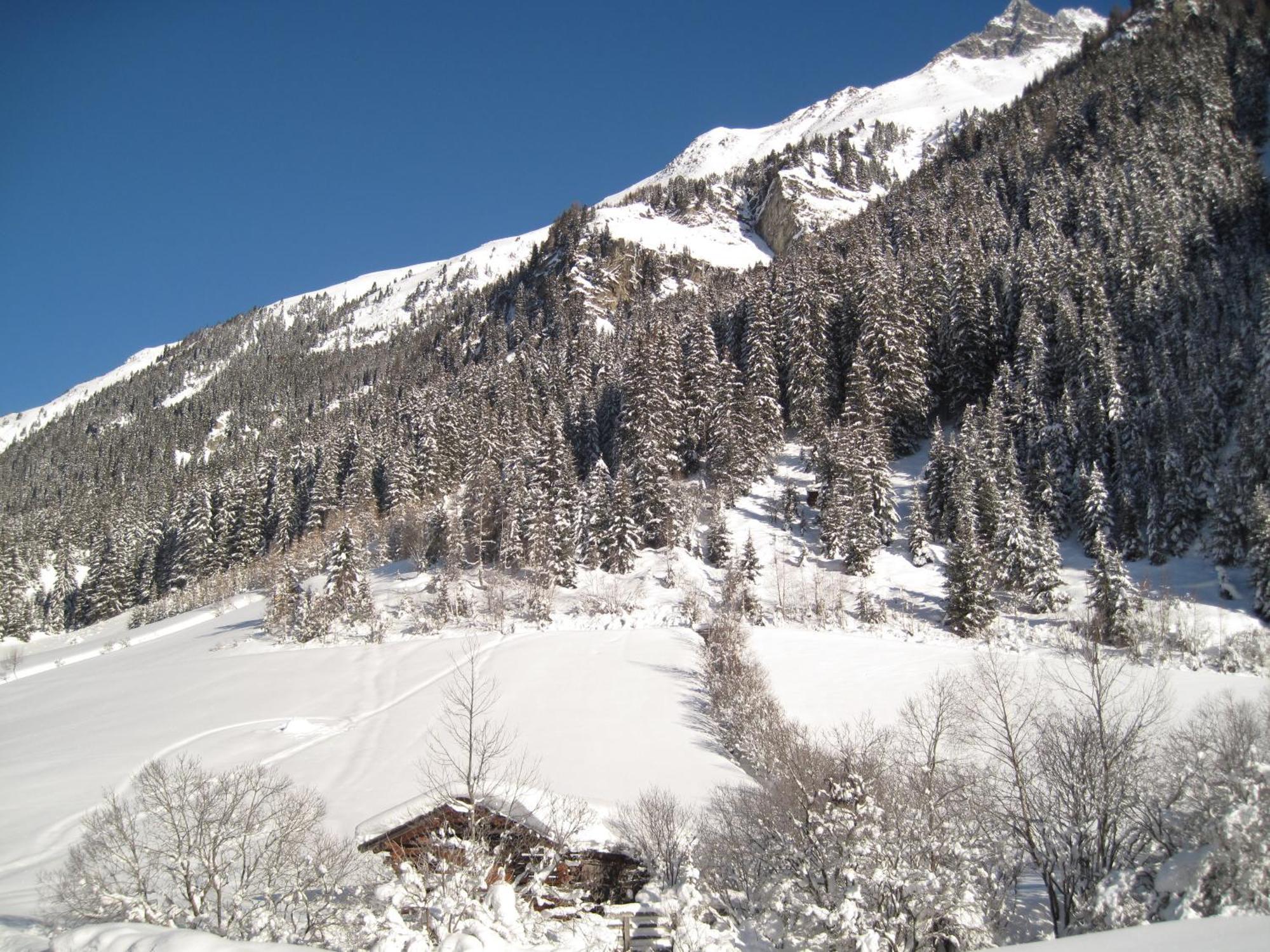 Alpina Appartement St. Leonhard im Pitztal Zewnętrze zdjęcie